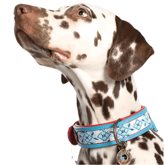 Dalmatien portant un collier pour chien Dog With A Mission modèle Dutchie – design artisanal bleu ciel et rouge avec perles et médaillon décoratif