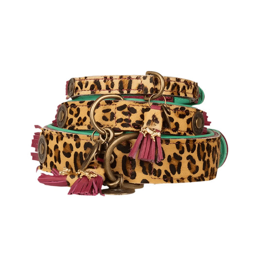 Colliers Loulou par Dog with a Mission – disponibles en trois tailles, imprimé léopard, finitions en cuir bordeaux et détails dorés
